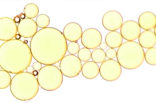 How coenzyme Q10 improves cellular energy Comment la coenzyme Q10 améliore l’énergie cellulaire