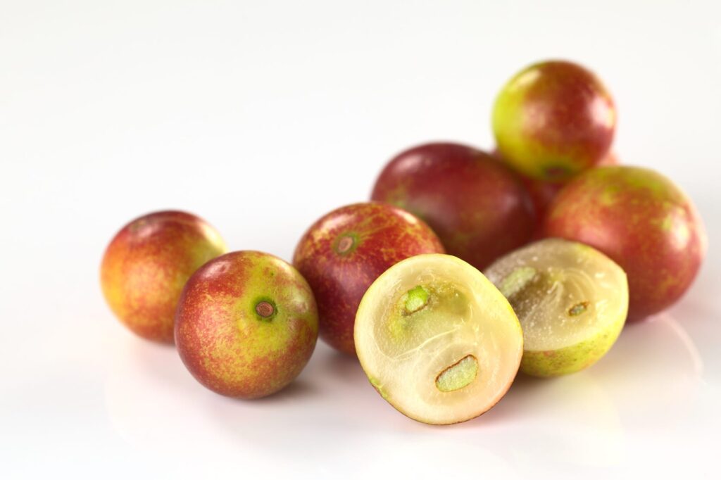 Camu Camu : Bienfaits, origine, utilisation en complément alimentaire