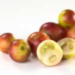 Camu Camu : Bienfaits, origine, utilisation en complément alimentaire