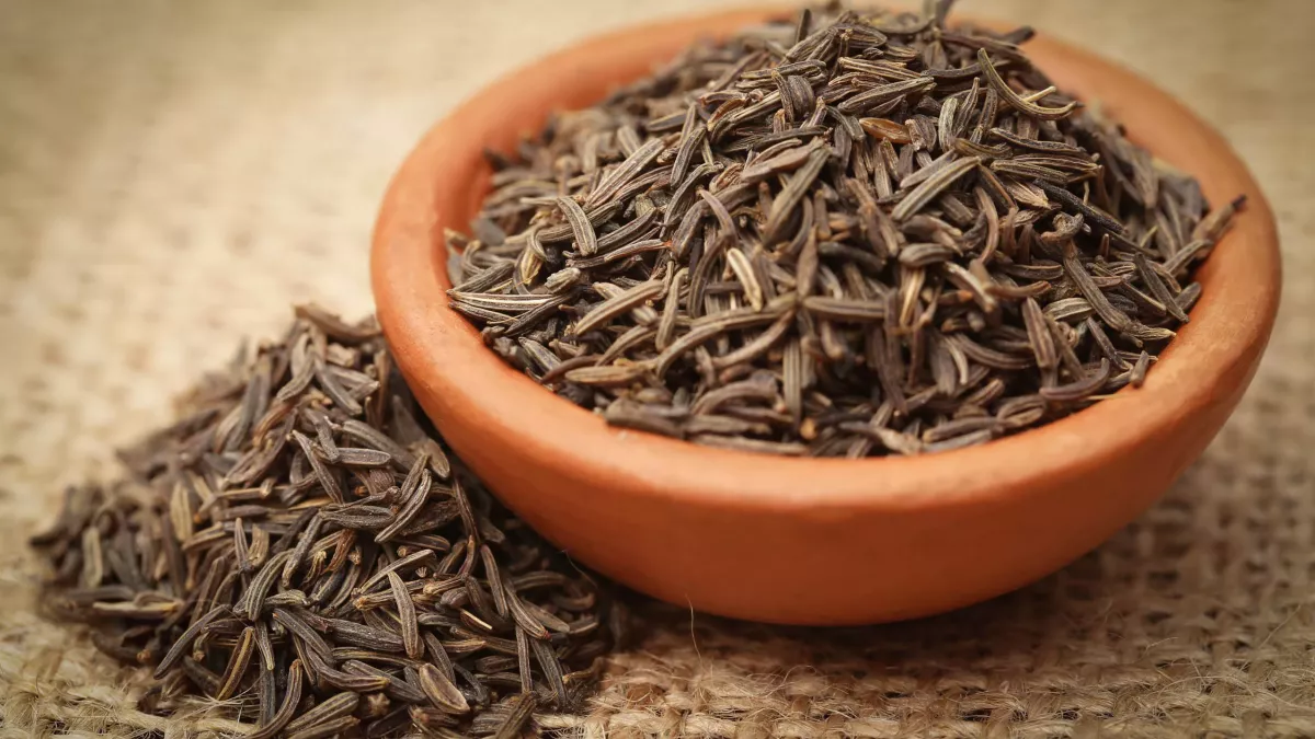 Alcaravea: beneficios, origen, uso como suplemento dietético Carvi