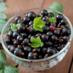 Cassis : Bienfaits, origine, utilisation en complément alimentaire