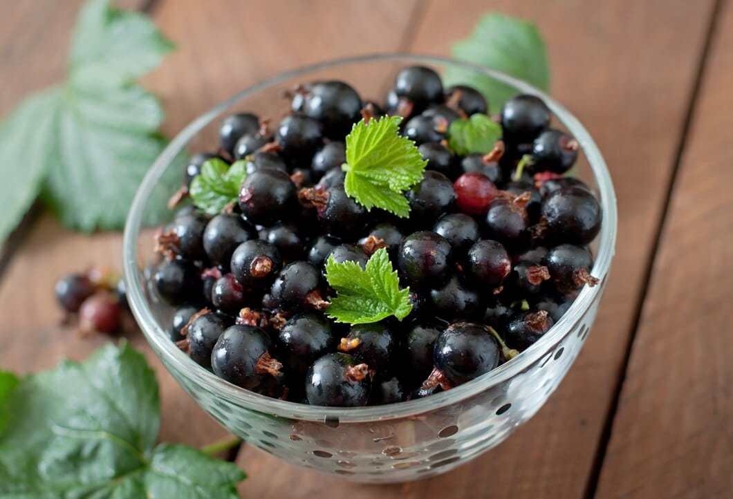 Grosella negra : Beneficios, origen, uso como suplemento dietético Cassis
