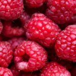 Cétone de framboise : Bienfaits, origine, utilisation en complément alimentaire