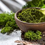 Chlorella : Bienfaits, origine, utilisation en complément alimentaire