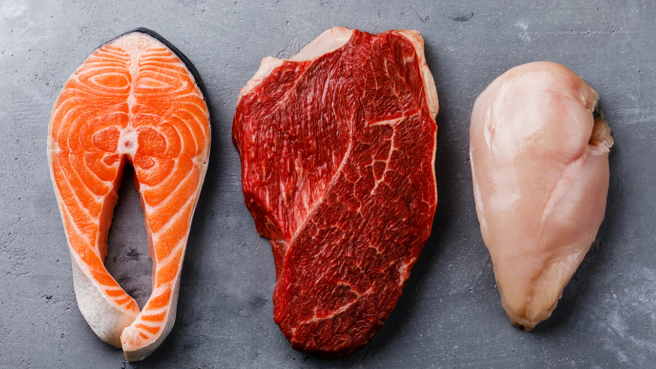 Condroitina: beneficios, origen, uso como suplemento dietético Chondroïtine