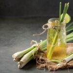 Citronnelle : Bienfaits, origine, utilisation en complément alimentaire