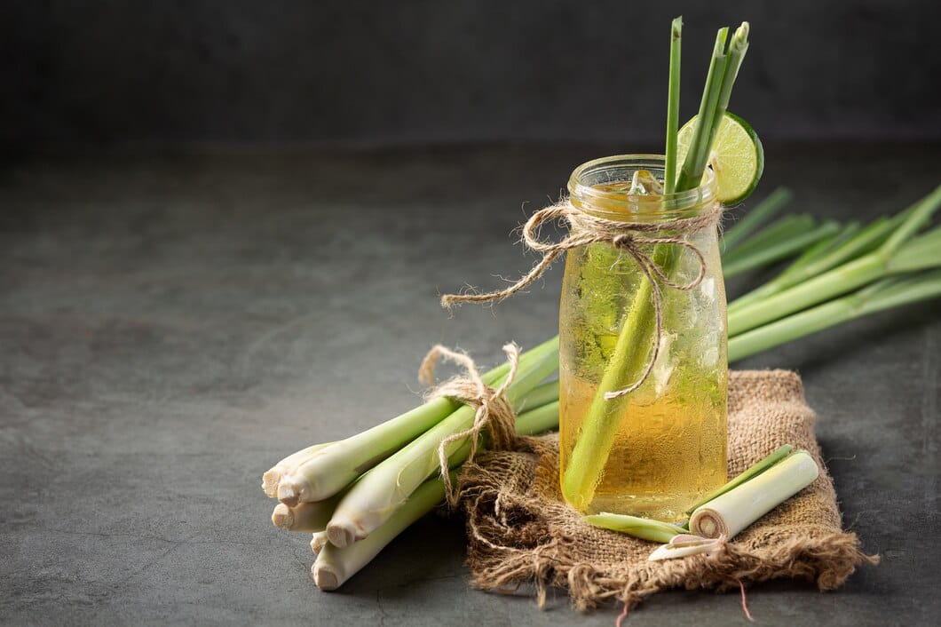 Citronela : Beneficios, origen, uso como suplemento dietético Citronnelle