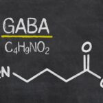 Gaba : Bienfaits, origine, utilisation en complément alimentaire