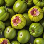 Garcinia : Bienfaits, origine et utilisation en complément alimentaire