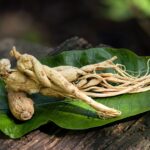 Ginseng : Bienfaits, origine, utilisation en complément alimentaire