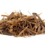Lapacho : Bienfaits, origine, utilisation en complément alimentaire