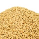 Lécithine de soja : Bienfaits, origine, utilisation en complément alimentaire