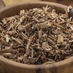Muira puama : Bienfaits, origine, utilisation en complément alimentaire
