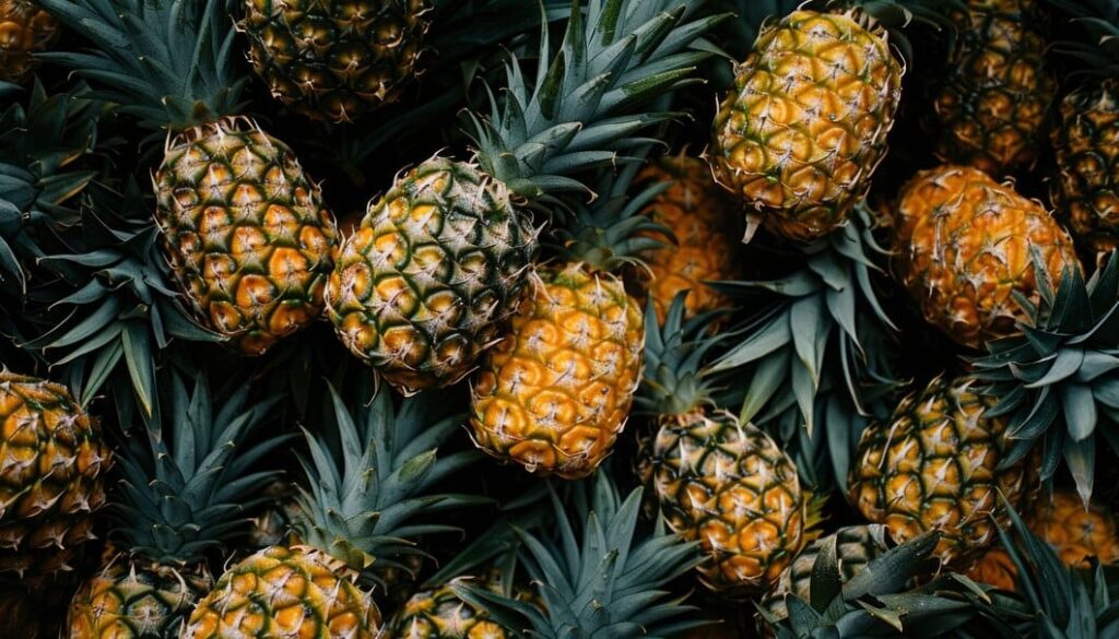 Ananas : Bienfaits, Origine, Utilisation et Complément Alimentaire
