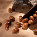 Argan : Bienfaits, Origine, Utilisation et Complément Alimentaire