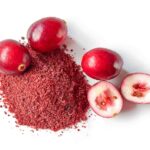 Canneberge : Bienfaits, origine, utilisation en complément alimentaire