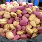 Kola : Bienfaits, origine, utilisation en complément alimentaire