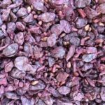 Marc de raisin : Bienfaits, origine, utilisation en complément alimentaire